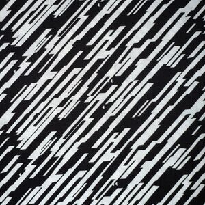 Black & White Paradox II by Blank Quilting - 1 Yard - Geometric Cotton Fabric